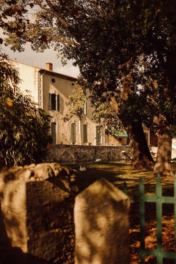 Gite Superbe L'Ecurie Xixeme Sallèles-dʼAude Exterior foto